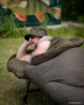 Image de Sac de Couchage FOX Voyager Sleeping Bag