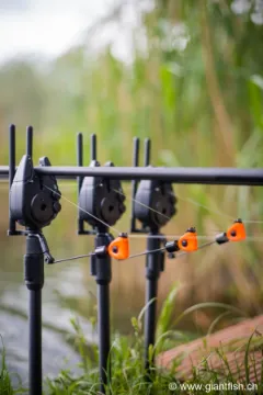 Swinger Fox Black Label Mini Swinger