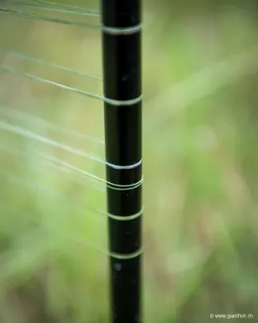 Repère de Distance FOX Pro Marker Sticks