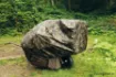 Image de Housse pour Chariot FOX Camo Barrow Cover