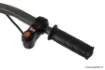 Immagine di Carrello FOX Transporter 24V Power Barrow