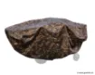 Bild von Abdeckung für FOX Camolite Barrow