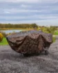 Bild von Abdeckung für FOX Camolite Barrow