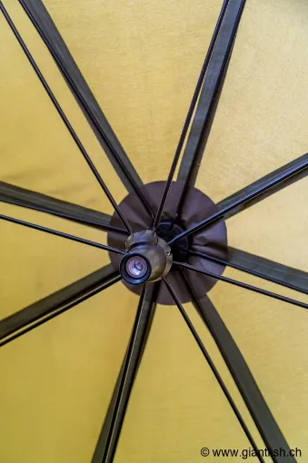 Abri FOX Easy Brolly 60""""