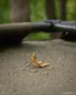 Immagine di Bivvy FOX EOS MK2 - 1 posto