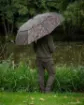 Immagine di Riparo FOX EXP Brolly