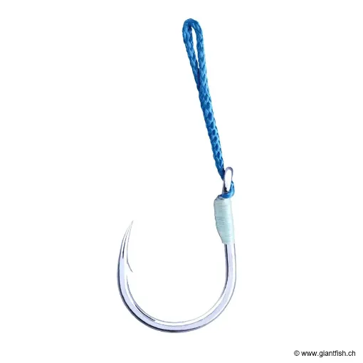 Hameçon Jigging BKK Assist Slow Fall SF Reefmaster NP