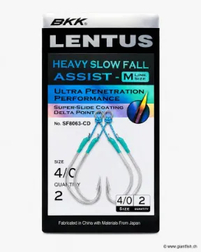 Hameçon BKK Assist Heavy Slow Fall SF Lentus M
