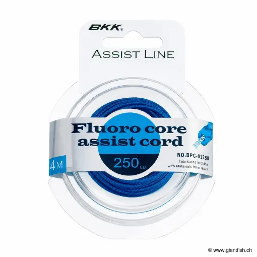 Tresse pour Assist Hook BKK Fluoro Core Assist Cord