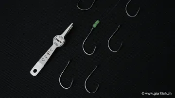 Hameçon BKK Octopus Beak Straight Eye Black Nickel