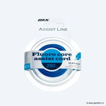 Tresse pour Assist Hook BKK Fluoro Core Assist Cord
