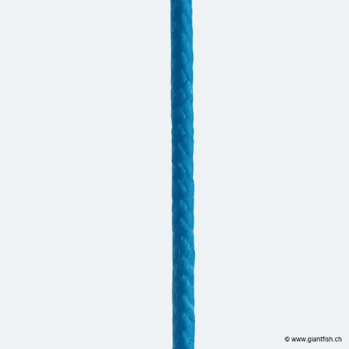 Tresse pour Assist Hook BKK Hollow Core Assist Cord