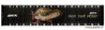 Image de Toise BKK Fish Measuring Tape