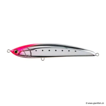 MARIA LEGATO F230