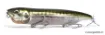 Bild von MEGABASS Concept Album Box DOGMAX SW 2026 Sammlerbox