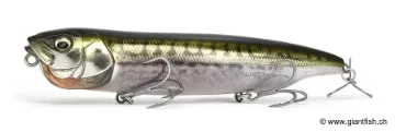 Coffret Collector MEGABASS Concept Album Box DOGMAX SW 2026