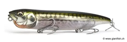 Coffret Collector MEGABASS Concept Album Box DOGMAX SW 2026