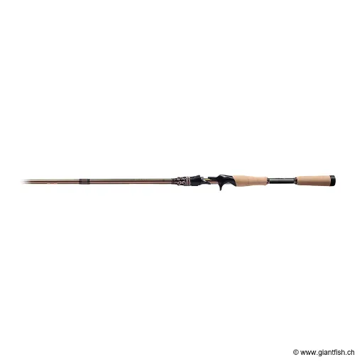 Canne Casting MEGABASS Evoluzion Destroyer F6 66ti Damien