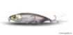 Picture of Sinking Lure MEGABASS Karashi 80 - 8 cm