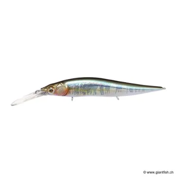 MEGABASS VISION 110 +2 JUNIOR