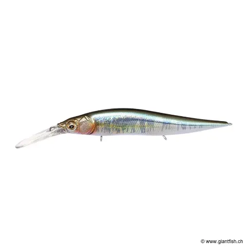 MEGABASS VISION 110 +2 JUNIOR