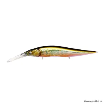 MEGABASS VISION 110 +2 JUNIOR