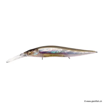MEGABASS VISION 110 +2 JUNIOR