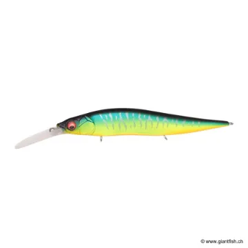 MEGABASS VISION 110 +2 JUNIOR