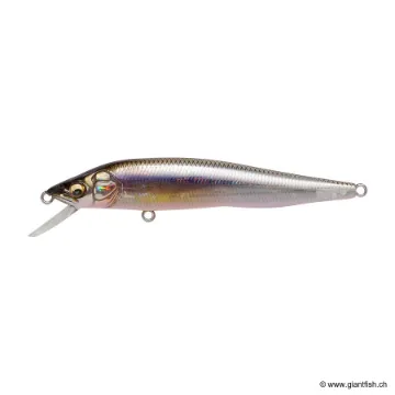 MEGABASS VISION 95