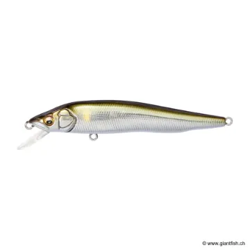 MEGABASS VISION 95
