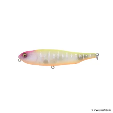 MEGABASS KISS GIANT DOG X FW