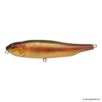 MEGABASS KISS GIANT DOG X FW