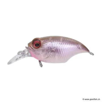 MEGABASS KISS GRIFFON BAIT FINESSE SR-X