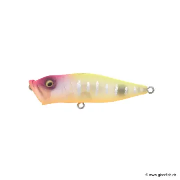 MEGABASS KISS POP X