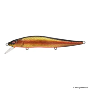 MEGABASS KISS VISION 110 FW