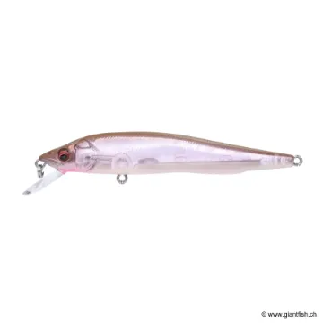 MEGABASS KISS VISION 95 Q-GO