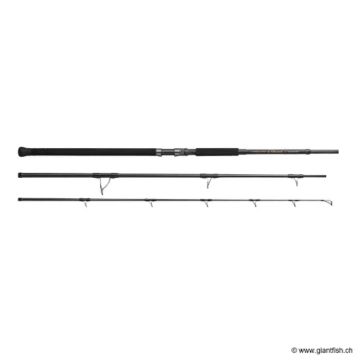 Canne Spinning TENRYU Power Master Extreme PMX 1073 S-XXP - 323 cm