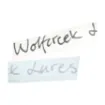 Immagine di Adesivo Sagomato Wolfcreek Lures Classic Logo Cut Out Decal Medium