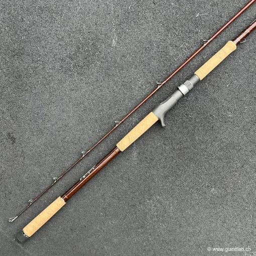 Canne Casting Wolfcreek Lures Damn You Rod 2.0 Pike & Musky Series - 10' Monster XXHMF - 450 g