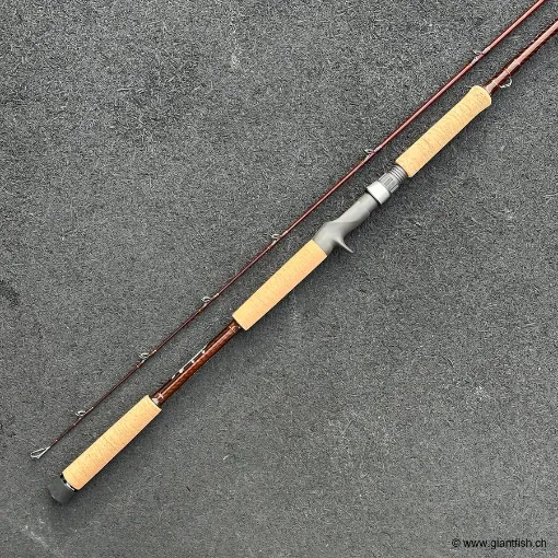 Canne Casting Wolfcreek Lures Damn You Rod 2.0 Pike & Musky Series - 8' Swimbait - MHF - 100 g