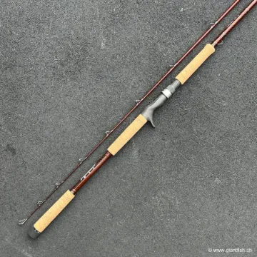 Canne Casting Wolfcreek Lures Damn You Rod 2.0 Pike & Musky Series - 9' Big Lures XHMF - 340 g
