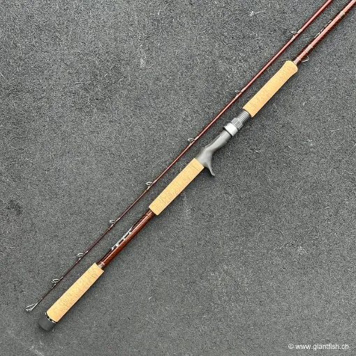 Canne Casting Wolfcreek Lures Damn You Rod 2.0 Pike & Musky Series - 9' Big Lures XHMF - 340 g