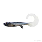 #C084 Sparkling Whitefish
