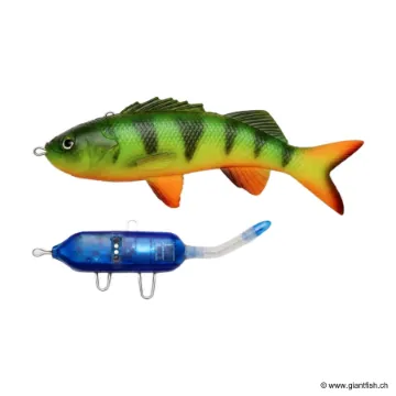 Leurre Souple Pulz-Bait - Perch Kit - 15 cm