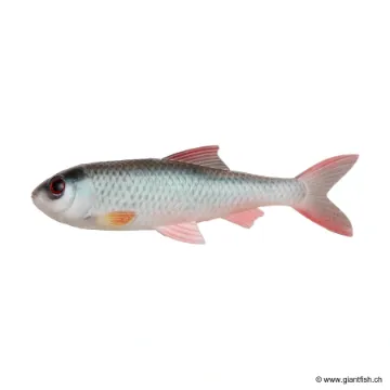 Leurre Souple Pulz-Bait - Roach Kit - 20 cm