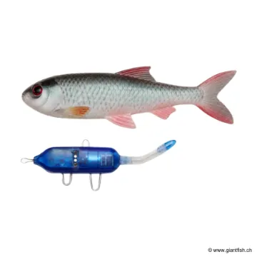 Leurre Souple Pulz-Bait - Roach Kit - 20 cm