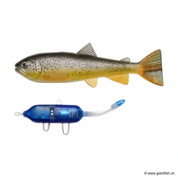 Leurre Souple Pulz-Bait - Trout Kit - 20 cm