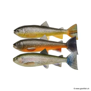 Leurre Souple Pulz-Bait Skinz Trout - 15 cm - par 3