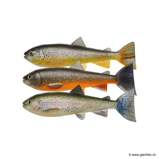 Leurre Souple Pulz-Bait Skinz Trout - 15 cm - par 3