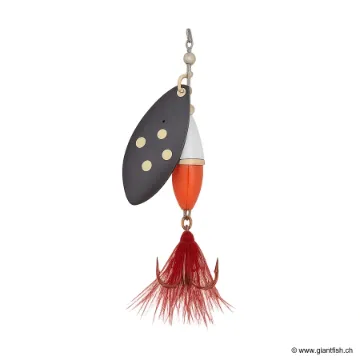 Myran Wipp